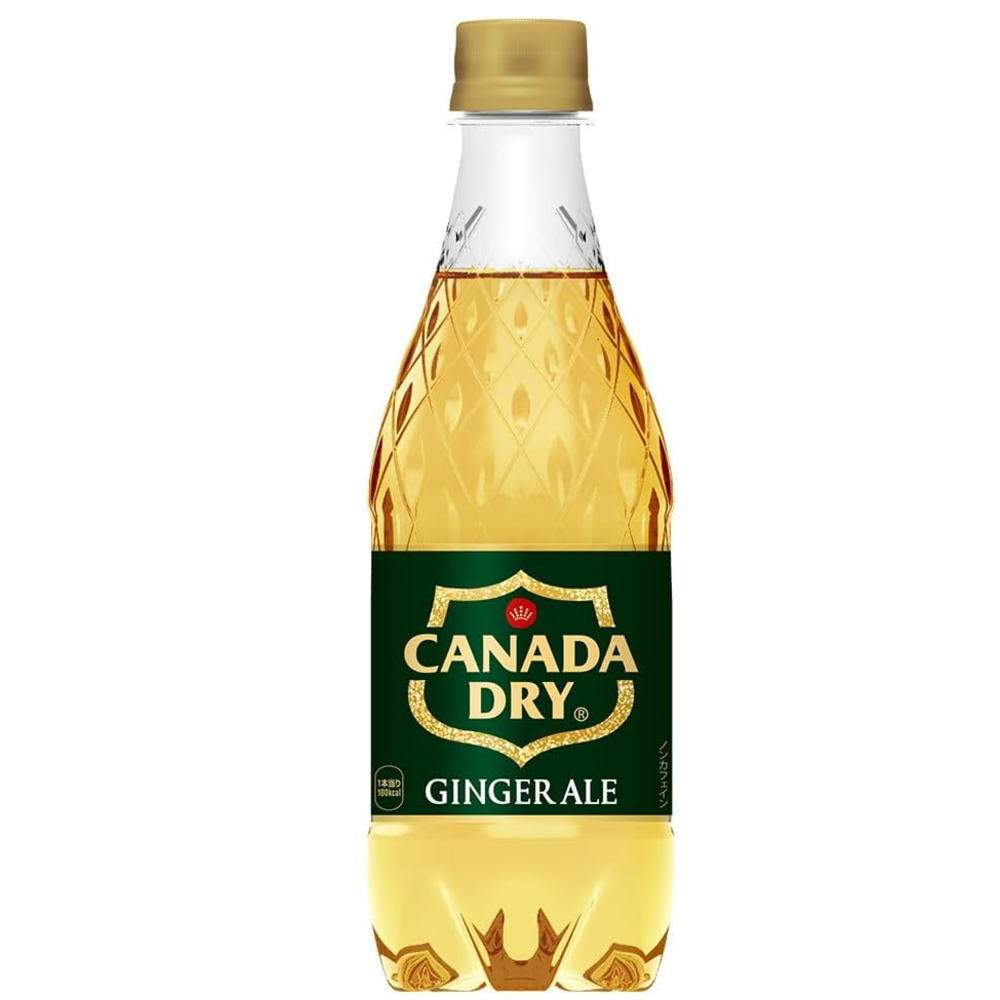 カナダドライ　ジンジャーエール
